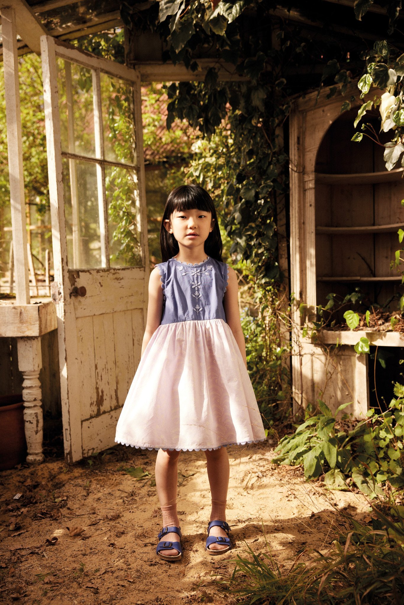 Lola Dress in Wallflower Azul - Image 3