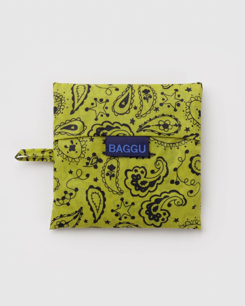 Standard Baggu: Chartreuse Paisley