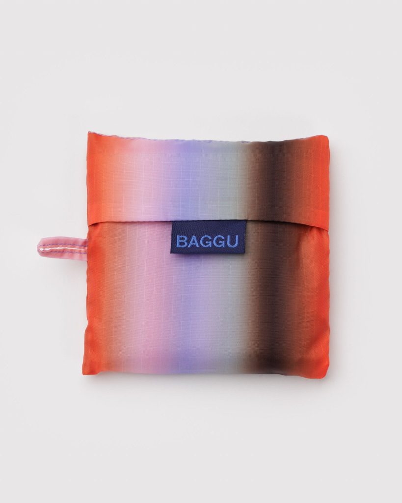 Standard Baggu: Gradient Stripe Poppy + Lilac