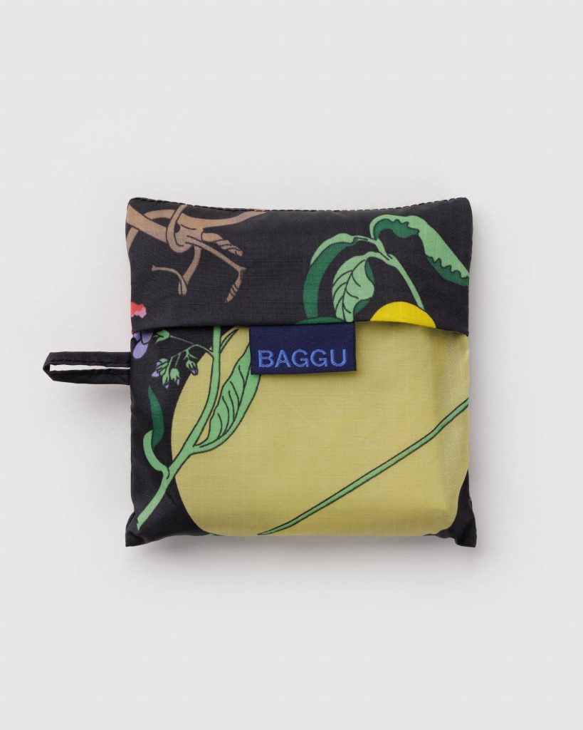 Standard Baggu: Winter Gourd