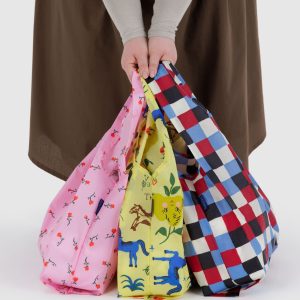 Baggu Set of 3: Painted Prairie - Image 1